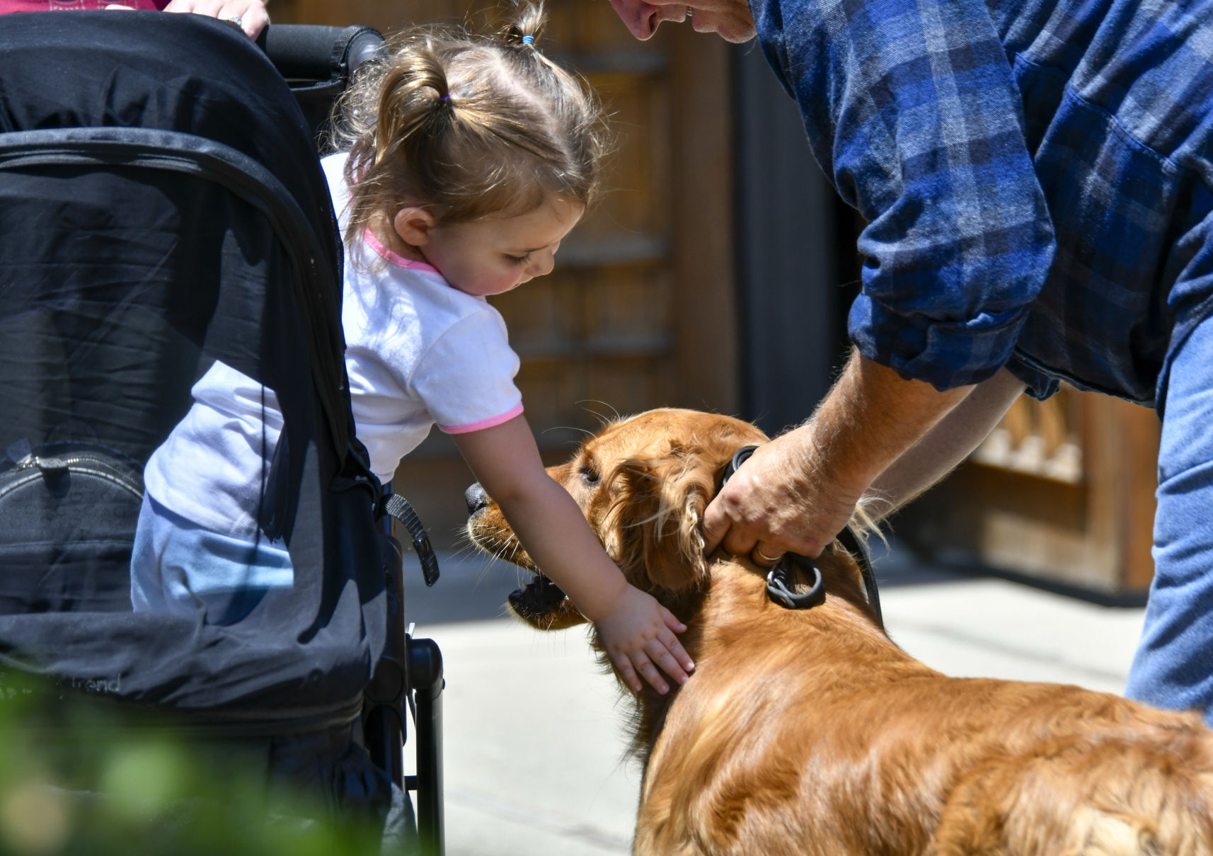 072521 Animal Blessing 07.JPG